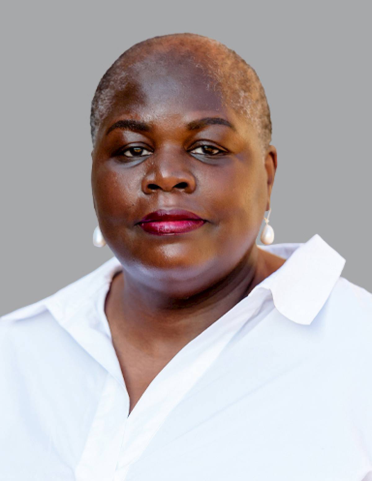 Executive Leadership Team Provides Expertise and Insight