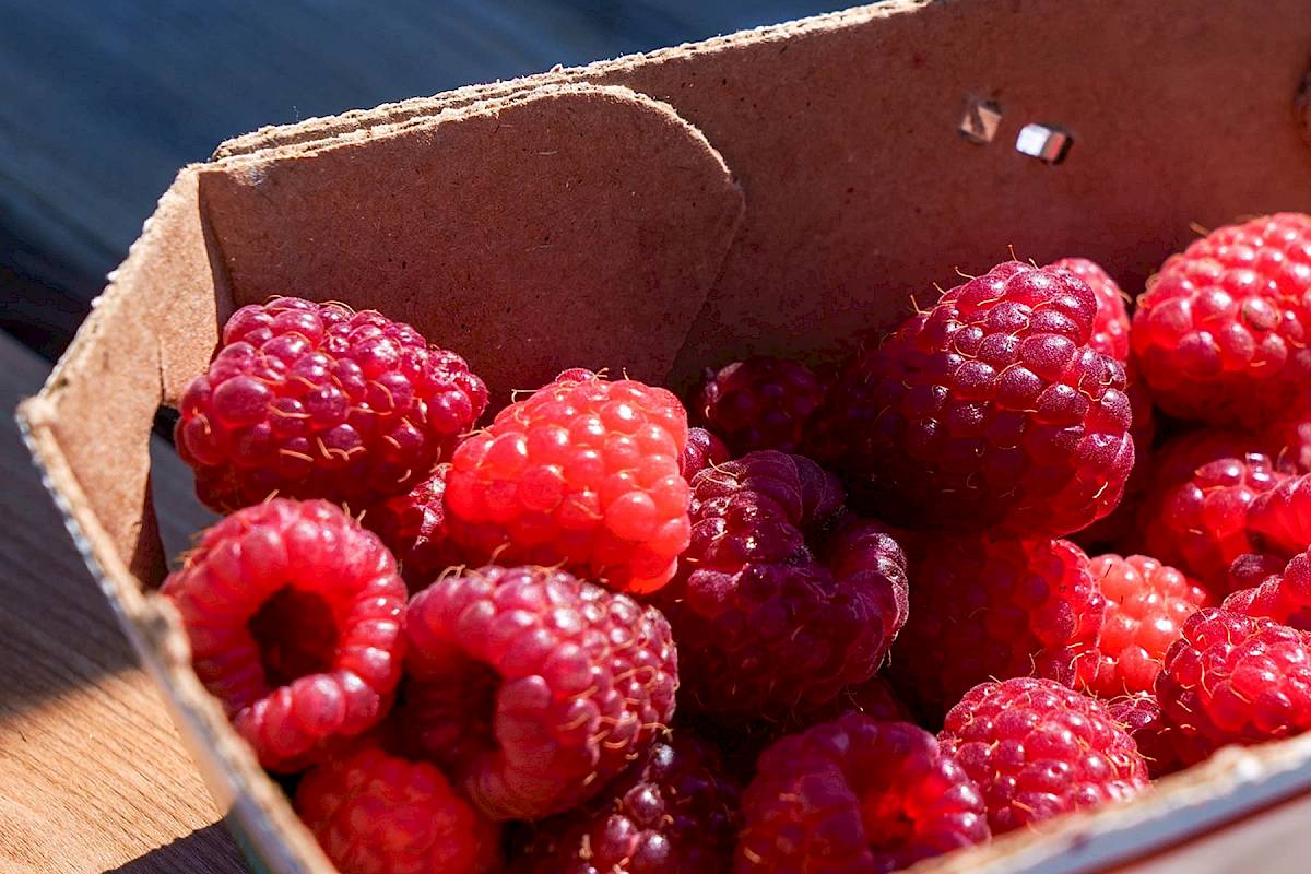 VaporCoat Barrier Coatings for Paper