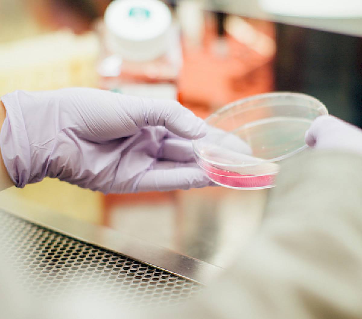 Wax Emulsions for Latex Glove Manufacturing