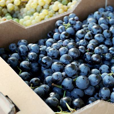 Perishables