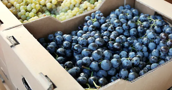 Perishables