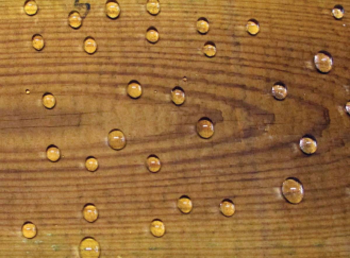 Michem Wood Coating for Exterior Wood Protection