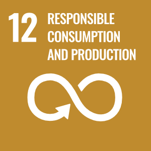 UN Sustainable Development Goal: 12 - Responsible Consumption and Production