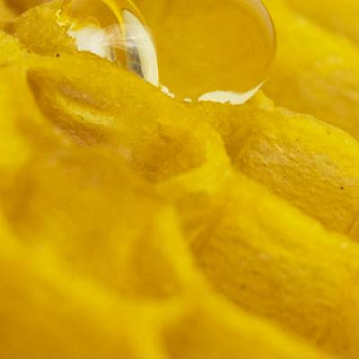 Raw Material Sourcing